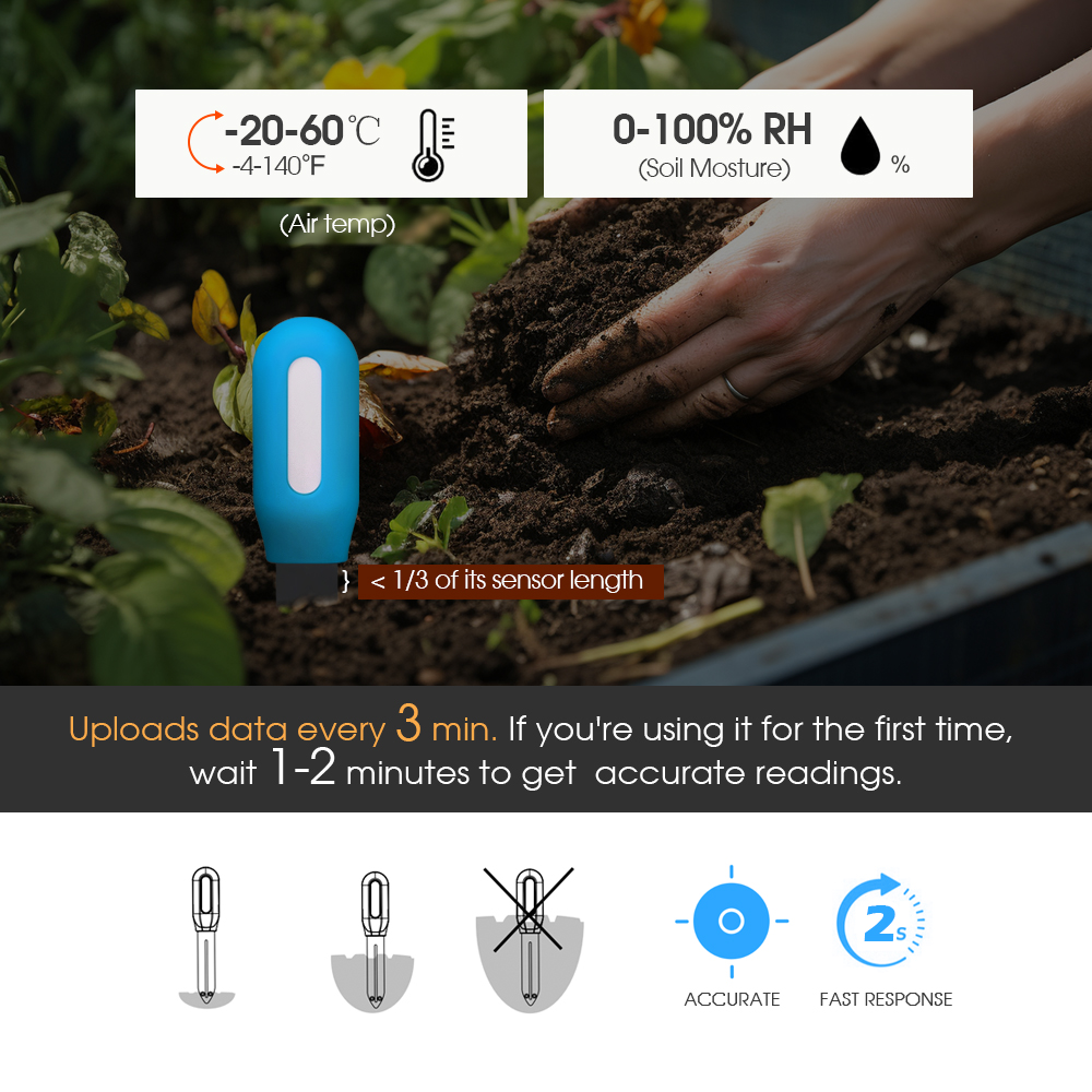 Sensore intelligente del terre - Smart Garden Usa recensione e prezzo