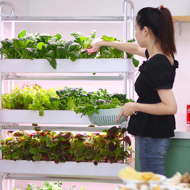 Sistema di coltivazione idropo - Smart Garden Stackable Planters recensione e prezzo