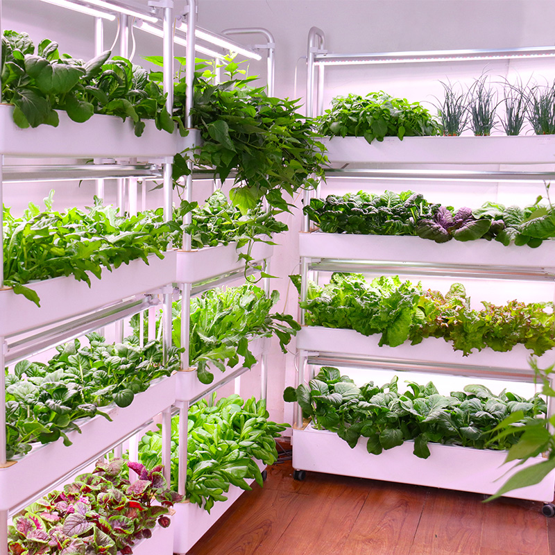 Sistema di coltivazione idropo - Smart Garden Stackable Planters recensione e prezzo