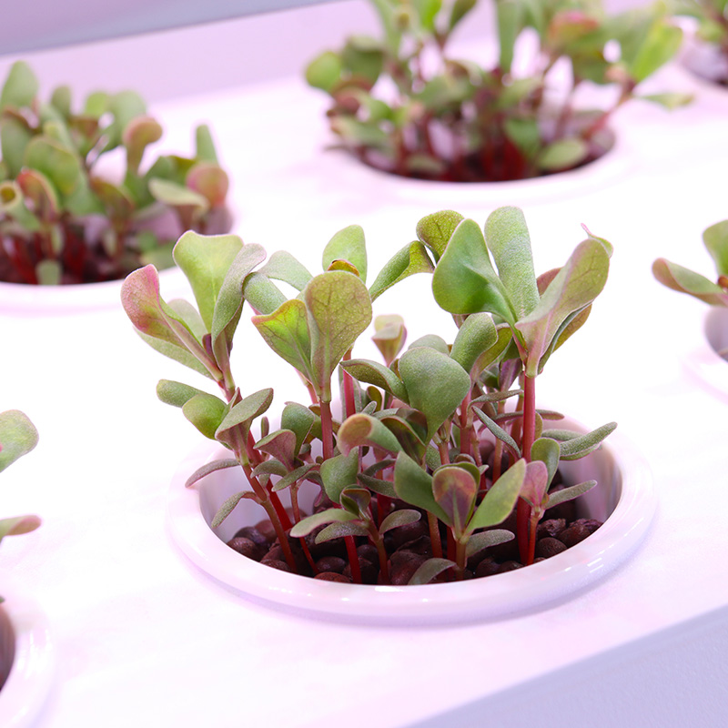 Sistema di coltivazione idropo - Smart Garden Stackable Planters recensione e prezzo