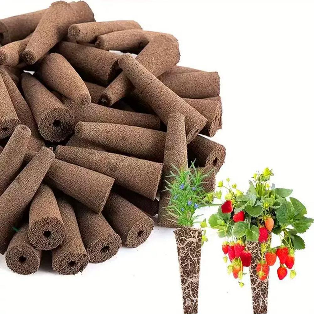 50 Pezzi Spugne per la Crescit - Aerogarden Seed Pod recensione e prezzo