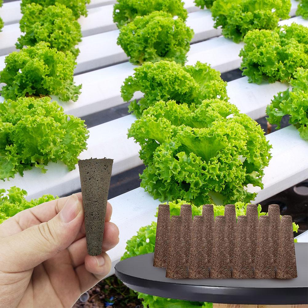 50 Pezzi Spugne per la Crescit - Aerogarden Seed Pod recensione e prezzo