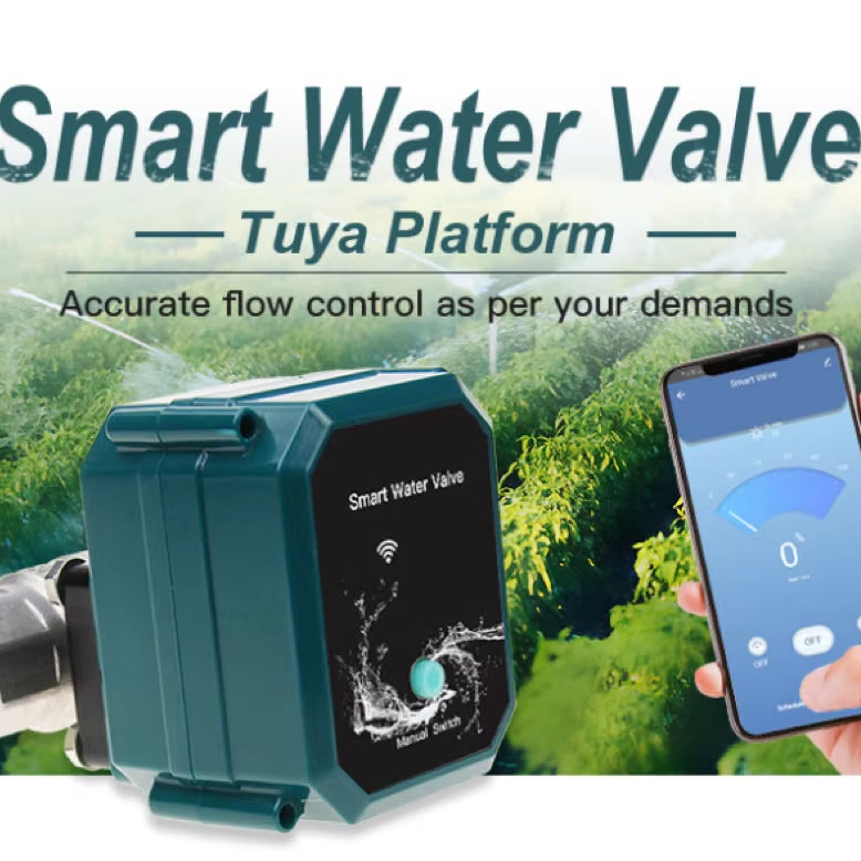 Sistema di irrigazione intelli - Smart Garden Water Features recensione e prezzo