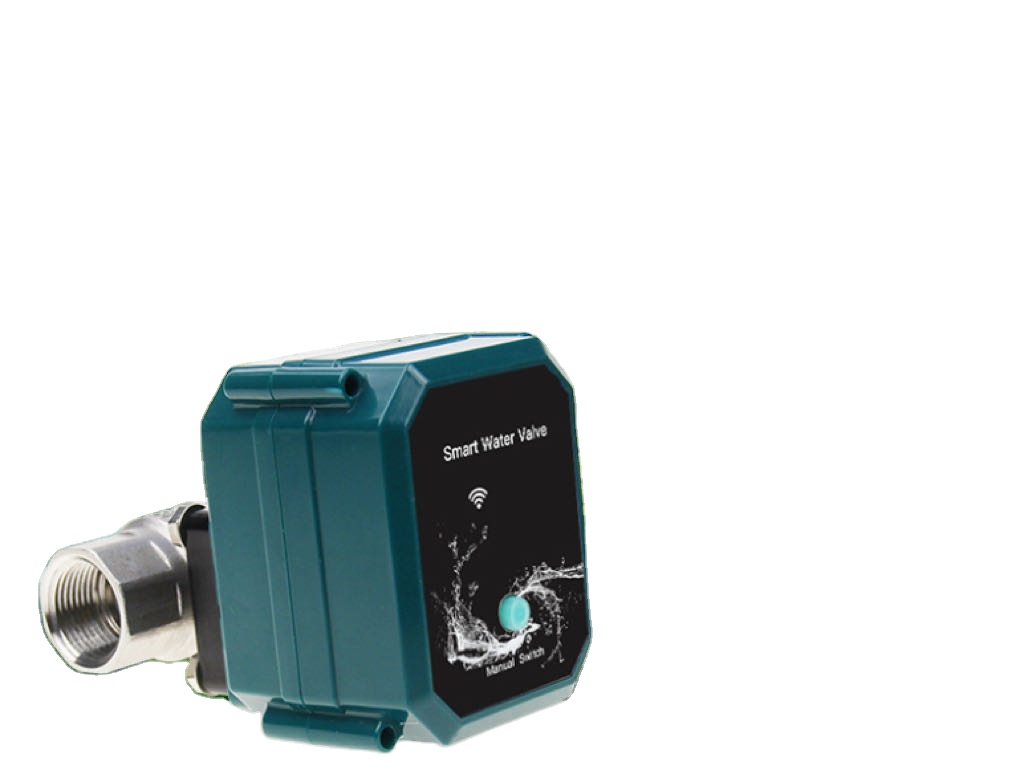 Sistema di irrigazione intelli - Smart Garden Water Features recensione e prezzo