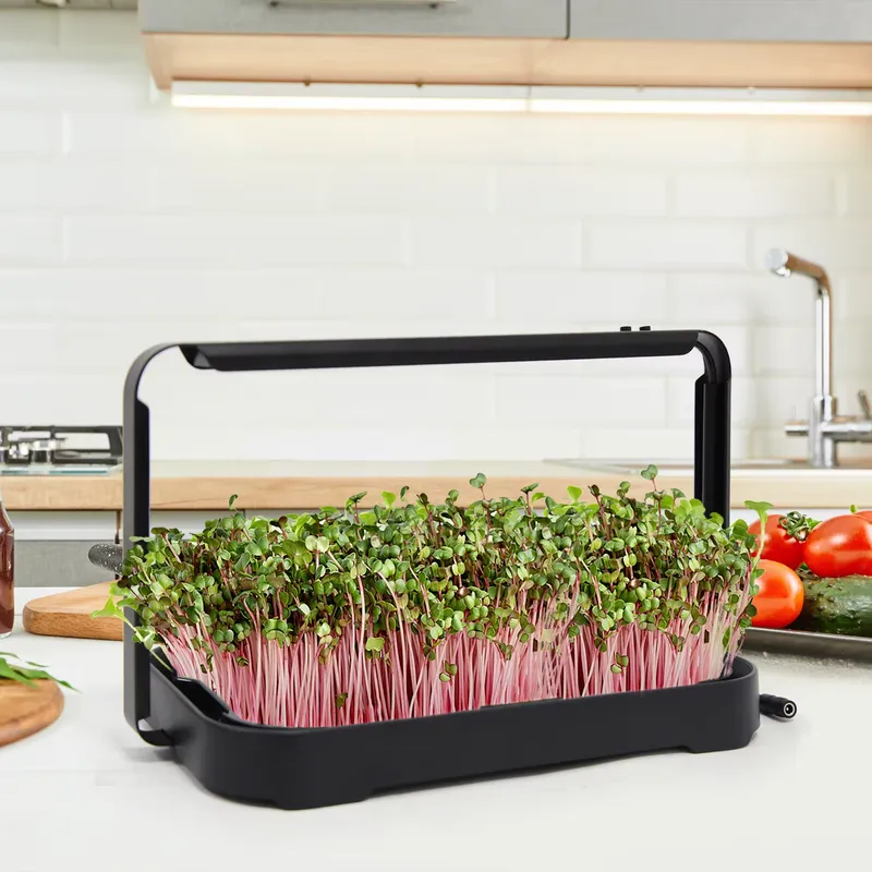 Vassoio Idroponico per Microgr - Smart Garden Usa recensione e prezzo