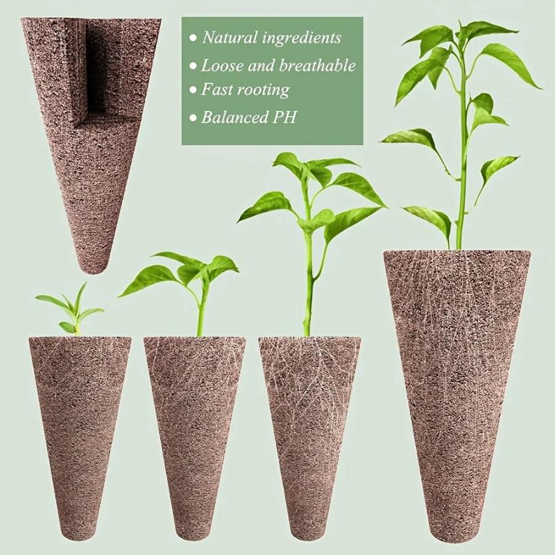 Kit di 67 pezzi per semi in ca - Aerogarden Seed Pod recensione e prezzo