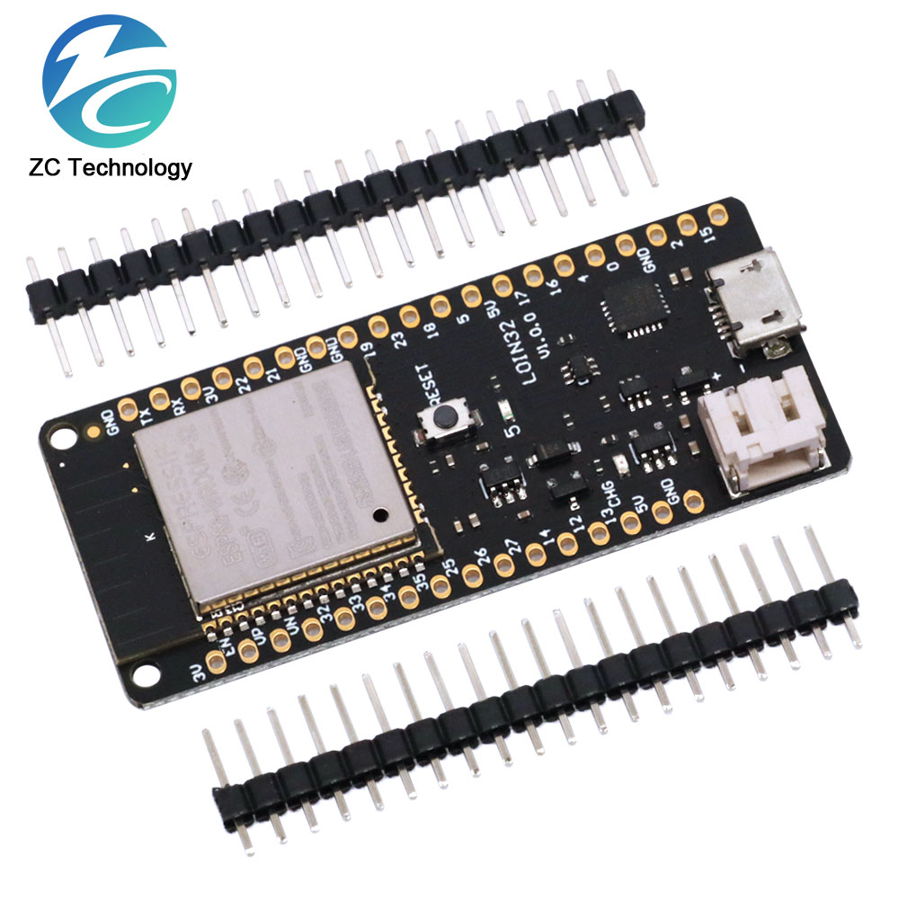 Flash da 4 MB per WeMos D1 ESP - Smart Garden Esp32 recensione e prezzo